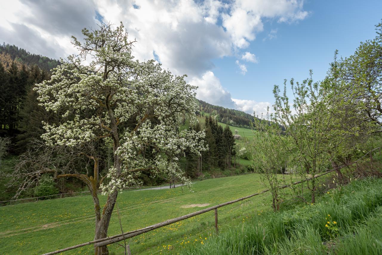 Urlaub Auf Der Alm 