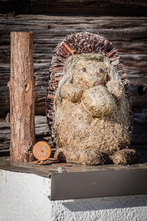 Urlaub Auf Der Alm 